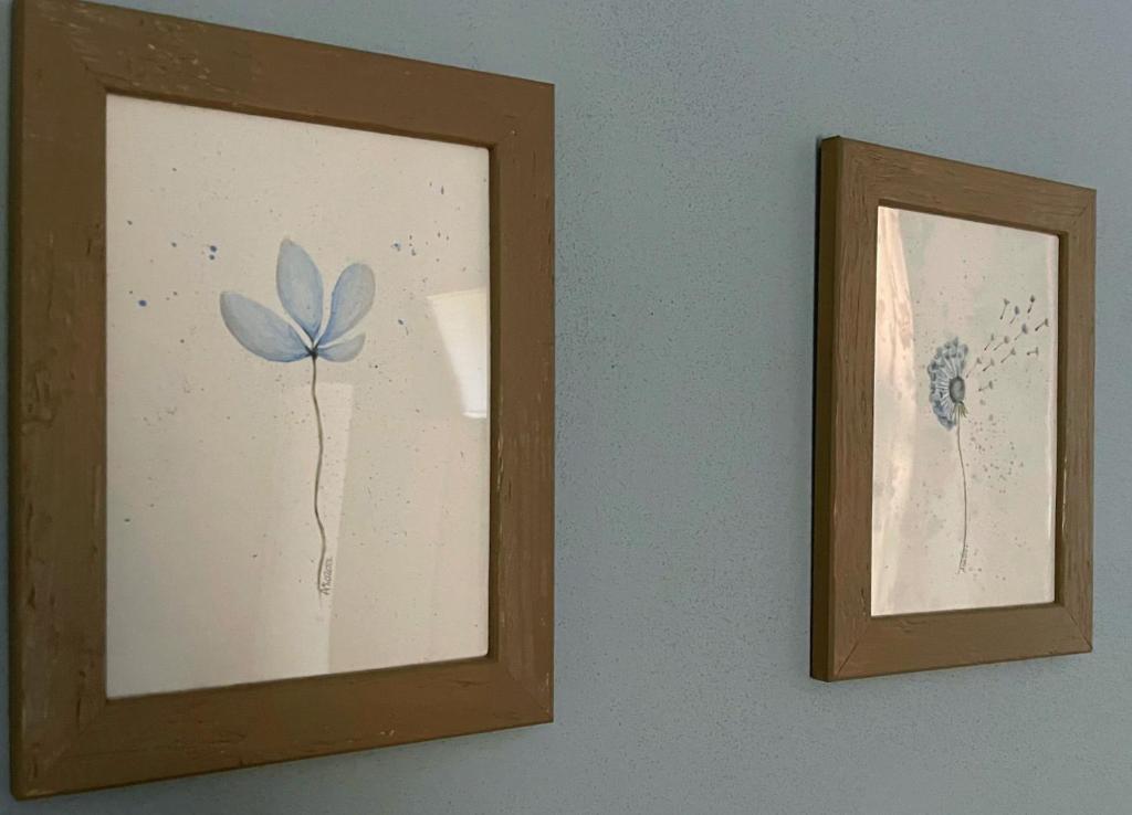 two framed pictures of a flower on a wall at Agriturismo Agagin in Agaggio Inferiore