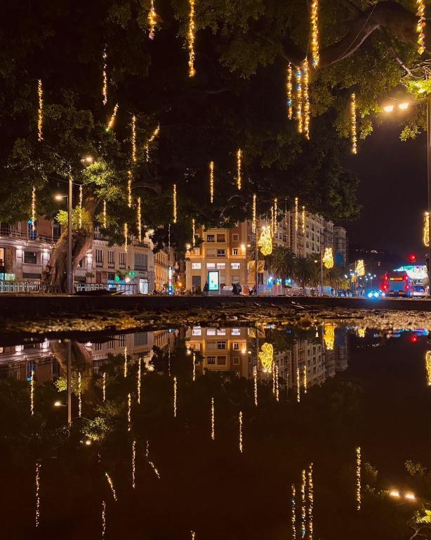 SOHO STUDIO Malaga - 5