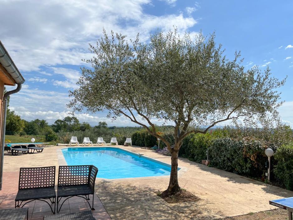 een boom naast een zwembad met een bank bij Villa Cool Douce in Joyeuse