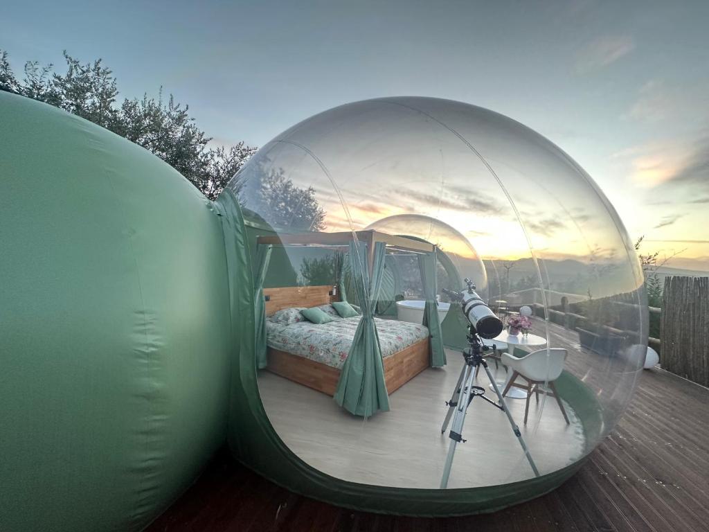 Villa Ulivi – Bubble Room - immagine 2