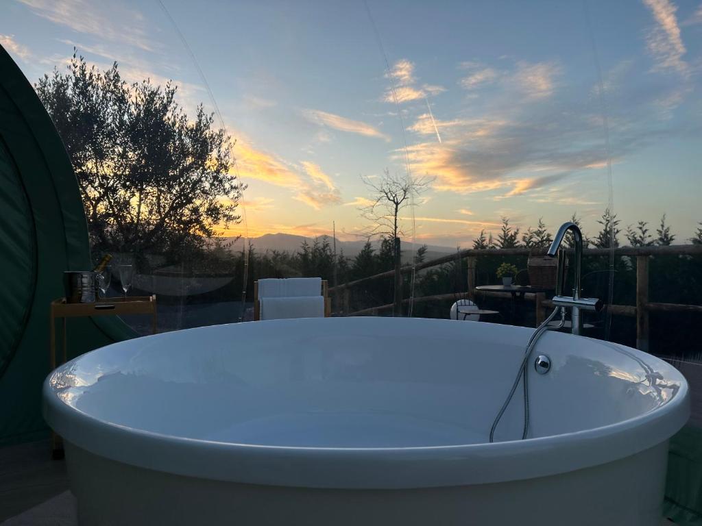 Villa Ulivi – Bubble Room - immagine 3