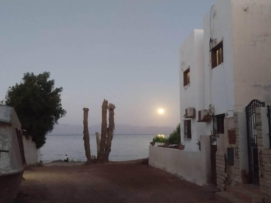 Asmara House, Dahab (updated prices 2024)