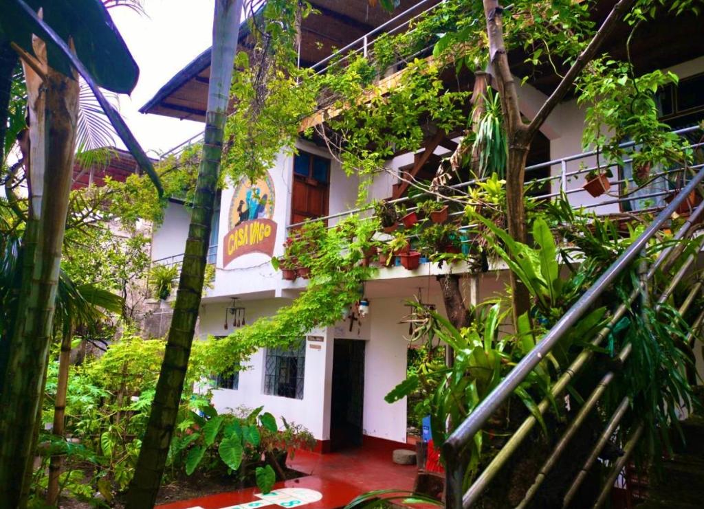 Zahrada ubytování VAGO HOSTEL