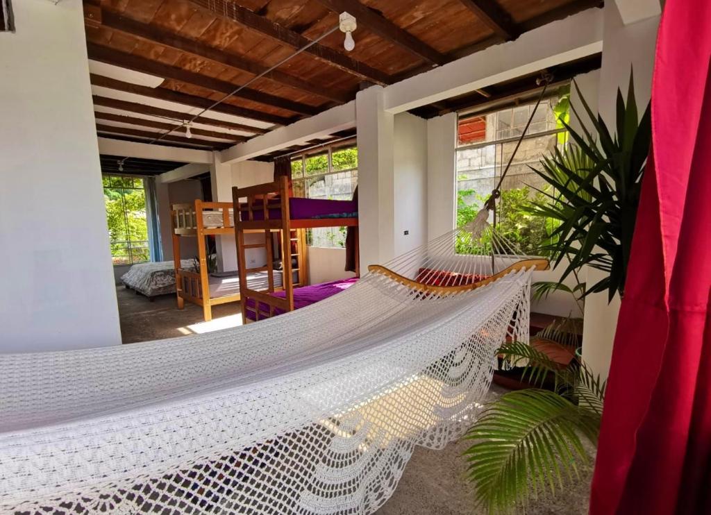 Fotografie z fotogalerie ubytování VAGO HOSTEL v destinaci Tingo María