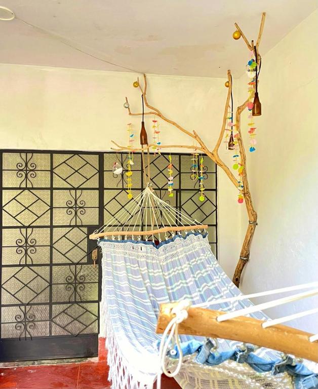 Fotografie z fotogalerie ubytování VAGO HOSTEL v destinaci Tingo María