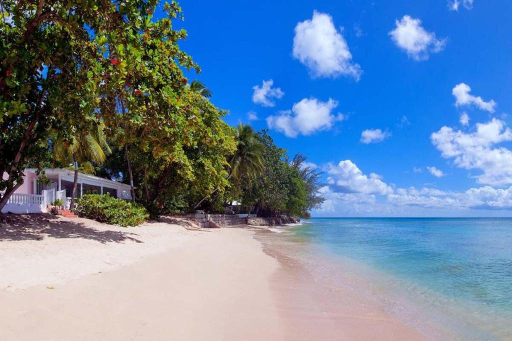 een strand met bomen en de oceaan op een zonnige dag bij Belair by Blue Sky Luxury in Saint Peter