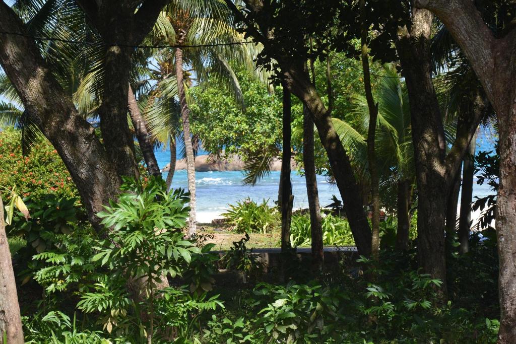 a view of the beach through the trees at O'Soleil Chalets Self Catering in La Digue