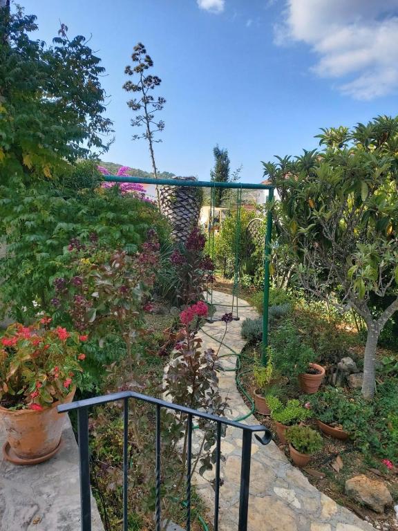 Zahrada ubytování Villa Lorena