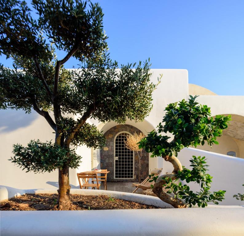 two trees in front of a building at Oia Treasures Art Suites in Oia