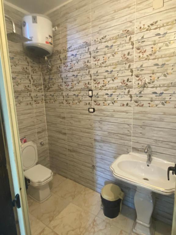 La salle de bains est pourvue d'un lavabo et de toilettes. dans l'établissement Sunrise shiny Nubian Guest House, à Assouan