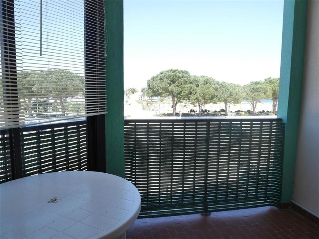 a bathroom with a white toilet and a large window at Appartement Argelès-sur-Mer, 2 pièces, 4 personnes - FR-1-388-52 in Argelès-sur-Mer