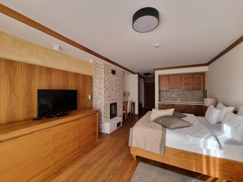 TV a/nebo společenská místnost v ubytování Apartman S-lux privatni app Vuckoo
