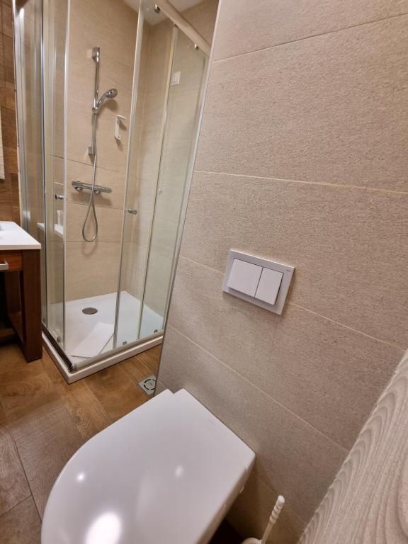Koupelna v ubytování Apartman S-lux privatni app Vuckoo