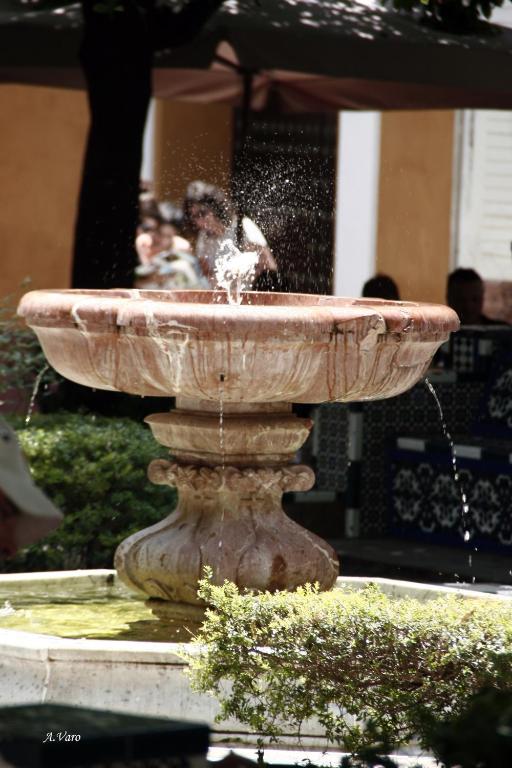 Hotel Doña Lina - Resim 37