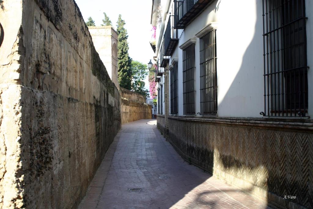 Hotel Doña Lina, Seville – Updated 2023 Prices