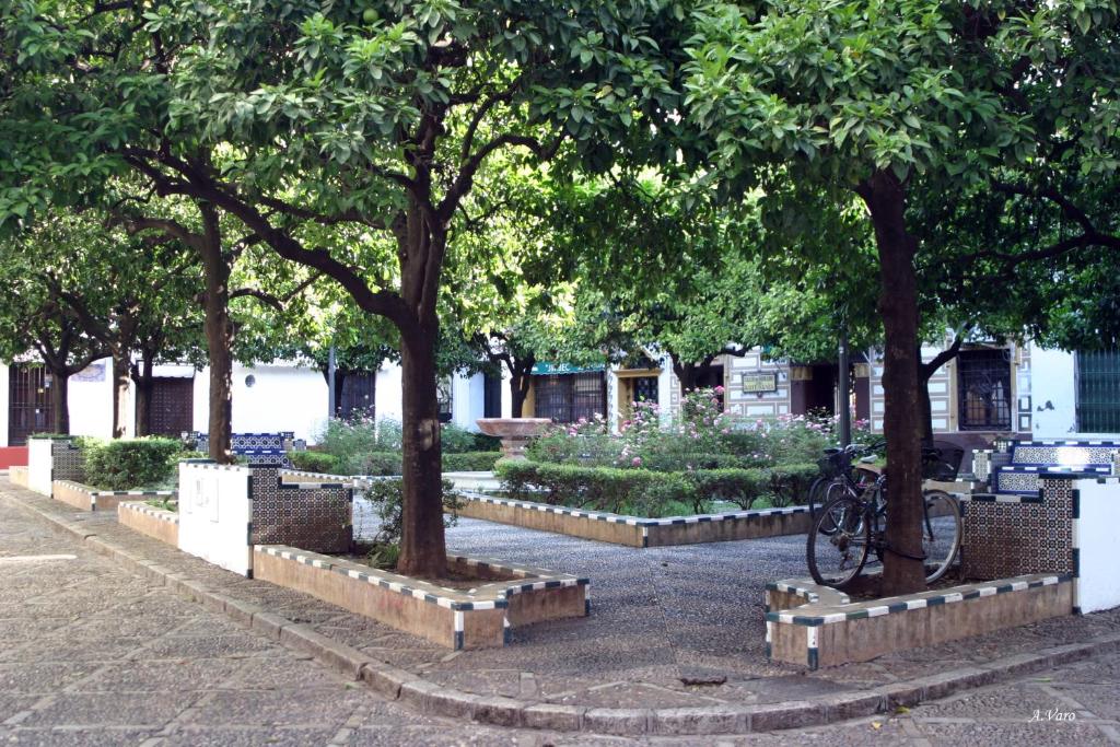 Hotel Doña Lina - Resim 28