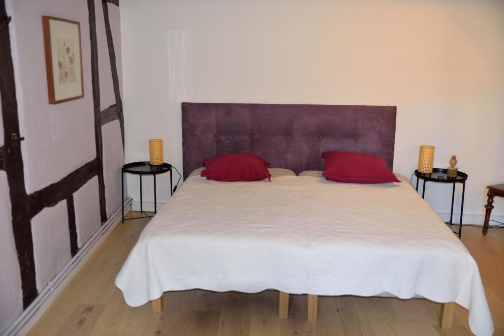 CHEZ CECILE Bed and Breakfast chez le VIGNERON - 14