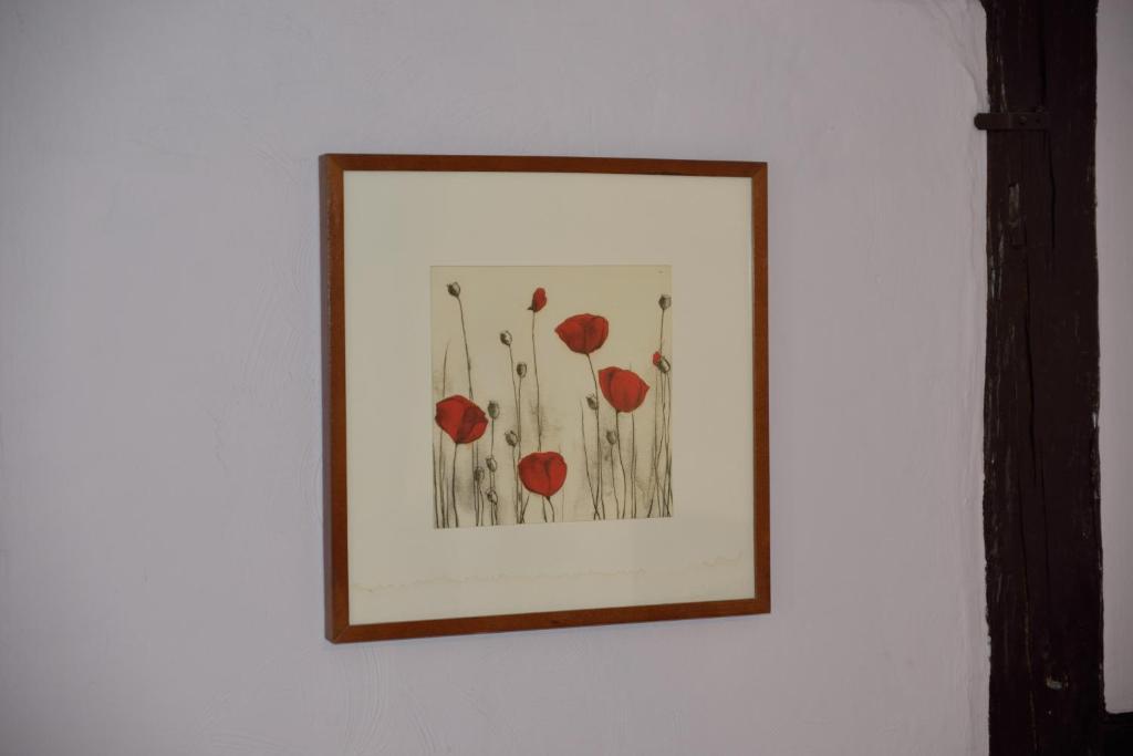 CHEZ CECILE Bed and Breakfast chez le VIGNERON – photo 54