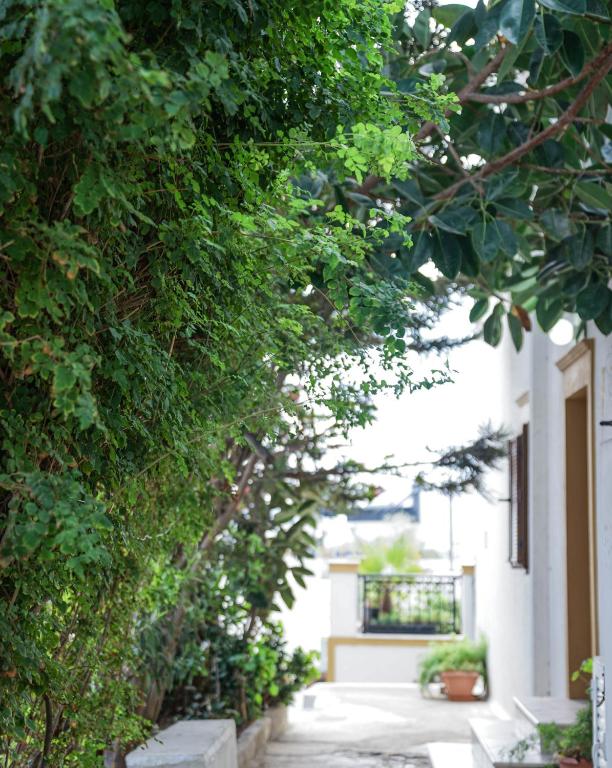 Fira Central Apartments with Veranda - 12