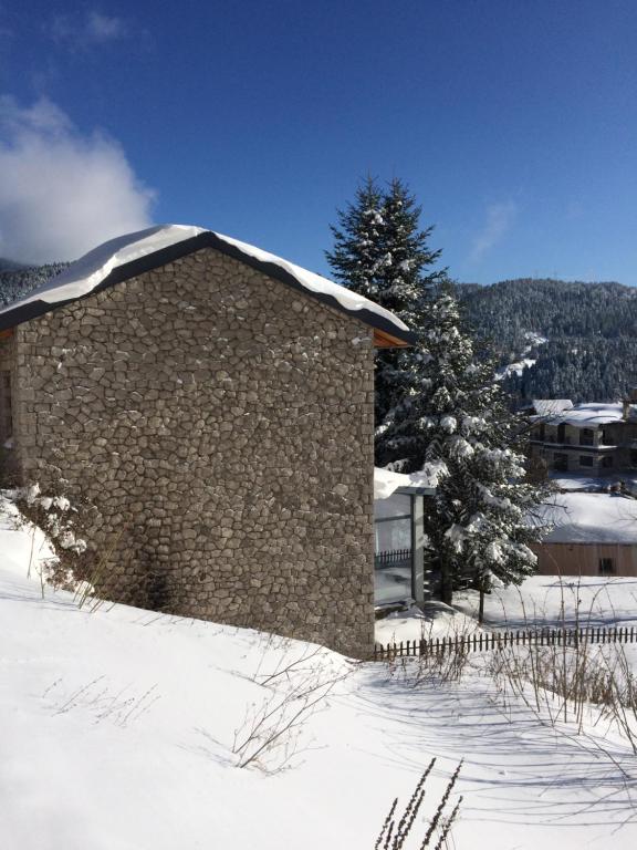 Luxurious mountain house