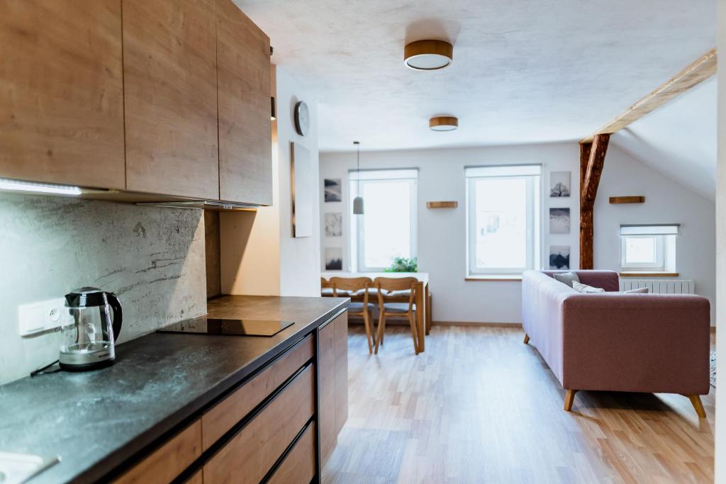 Kuchyň nebo kuchyňský kout v ubytování Apartmány Jabloneček