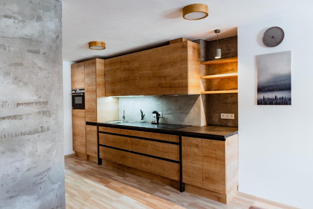 Kuchyň nebo kuchyňský kout v ubytování Apartmány Jabloneček