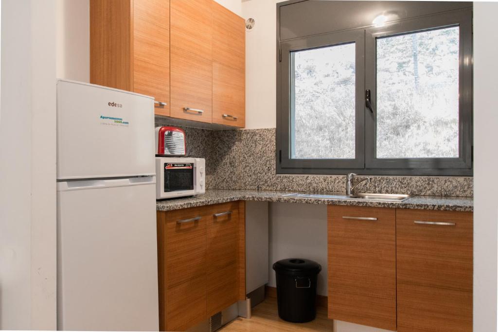 Köök või kööginurk majutusasutuses Apartamentos Canillo 3000