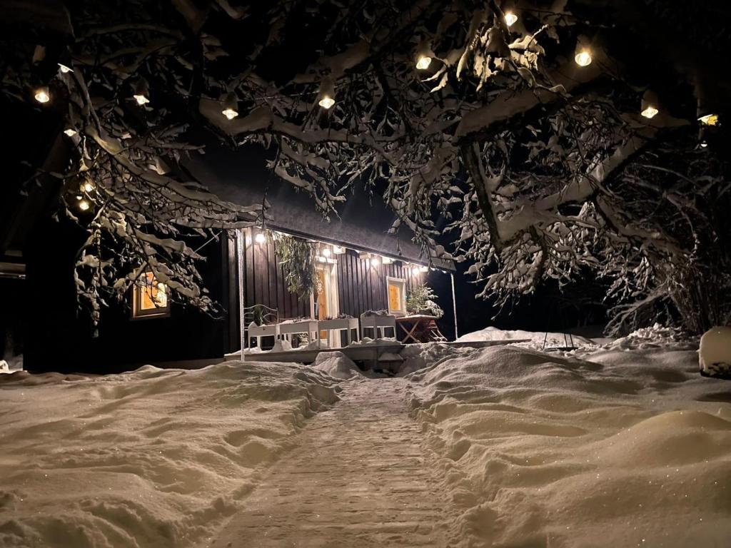 une scène recouverte de neige la nuit avec des lumières dans l'établissement Čapu Liepu sauna, à Garkalne