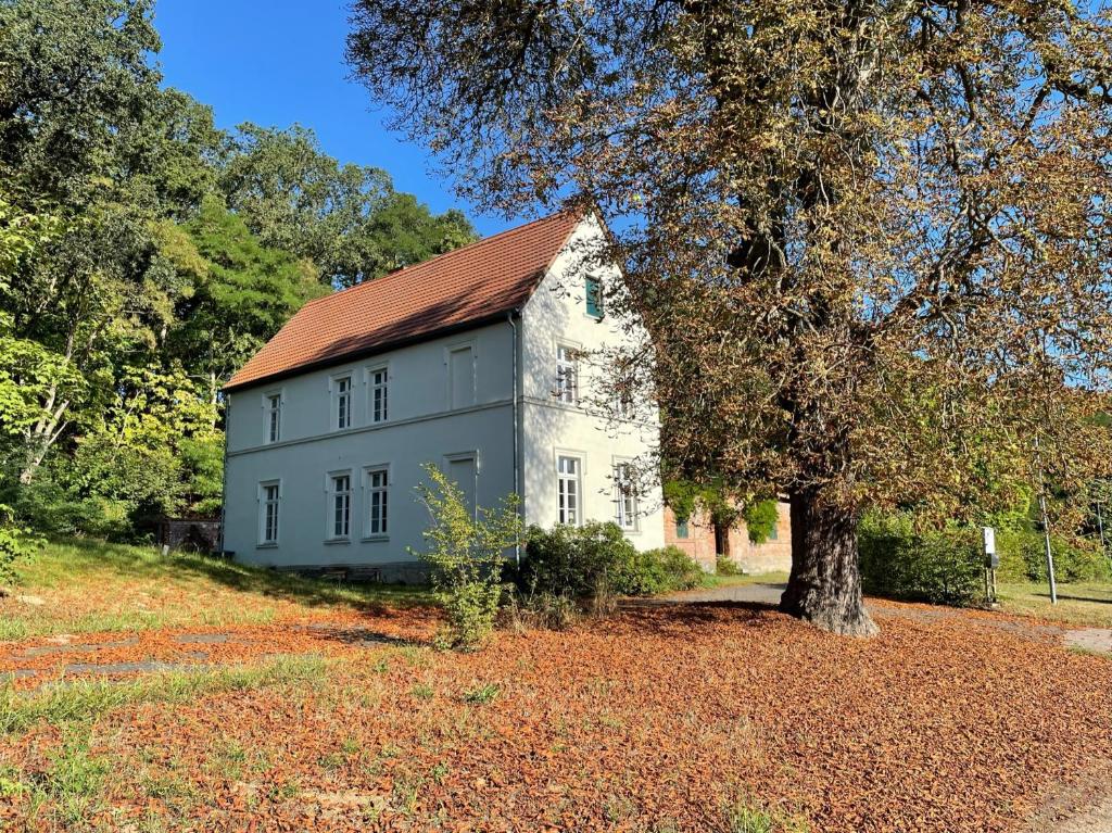 Una casa blanca con un árbol delante. en Ferienwohnung Gutshaus Granzow - Im Gutshaus wohnen, 