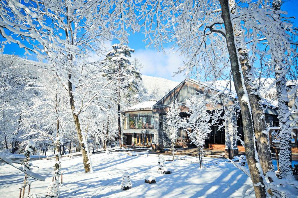 uma casa na neve com árvores cobertas de neve em Hotel Sierra Resort Hakuba em Hakuba