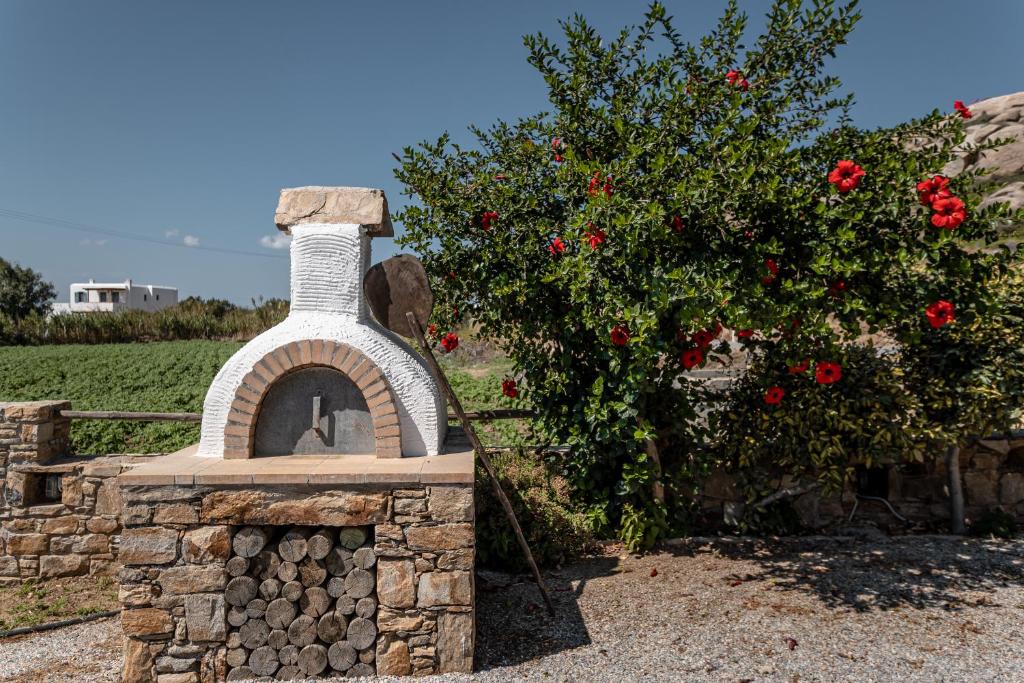 A garden outside Zefyros Studios