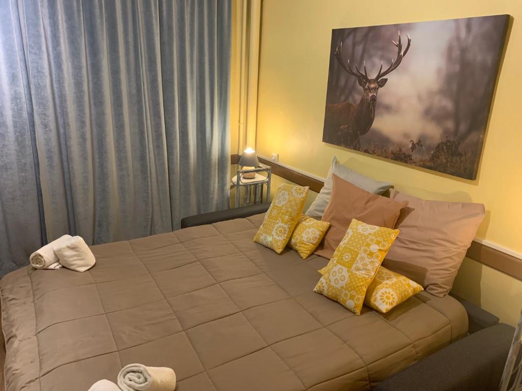 Hôtel Du Cheval Blanc Barcelonnette - キングルーム バリアフリー