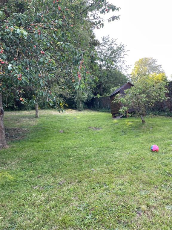 a pink frisbee on the grass in a yard at L&#39;écureuil de la Baie - maison en Baie de Somme in Mons-Boubert