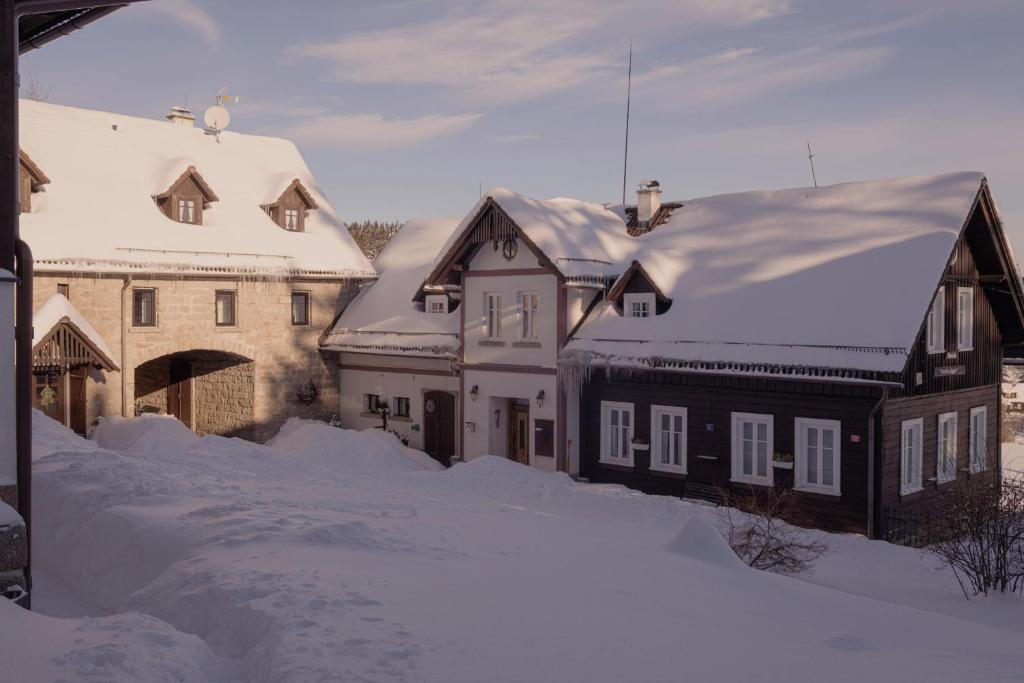 een groep huizen is bedekt met sneeuw bij Penzion Statek u Rajtrů in Bedřichov