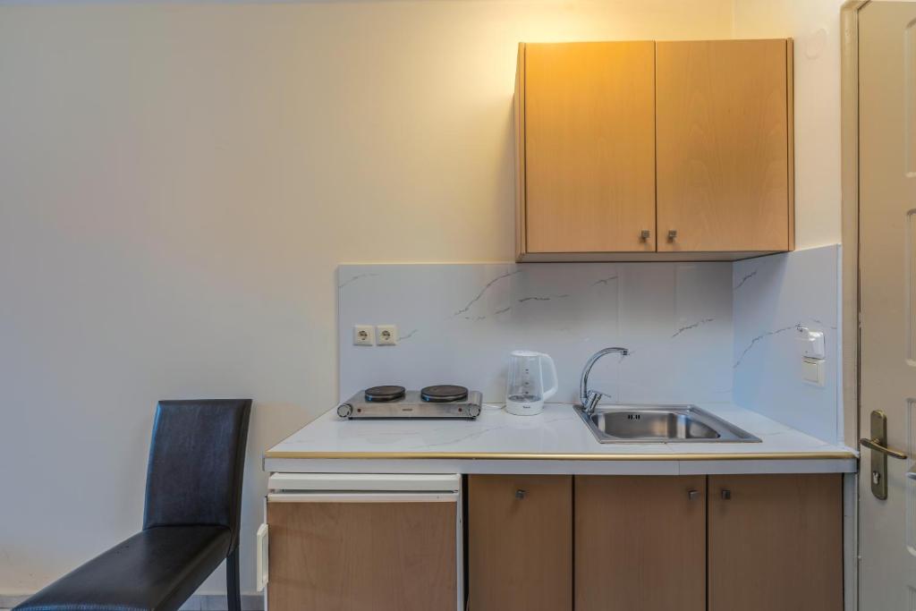 Kuchyň nebo kuchyňský kout v ubytování Kozanos Hotel & Suites