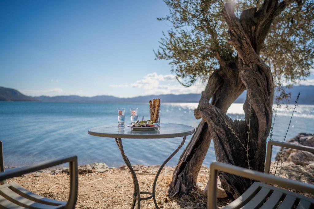 a table and chairs next to a tree next to the water at Traditional Stone House in Seafront Olive Grove A in Alyfantá