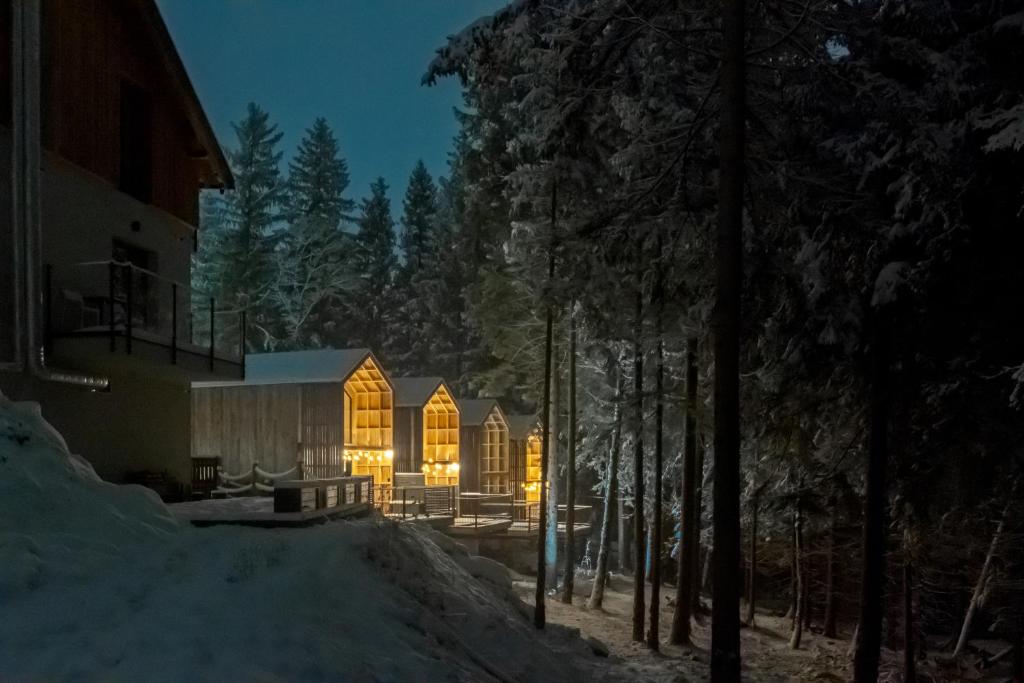 a cabin in the woods in the snow at night at Leśna Kąpiel in Karpacz