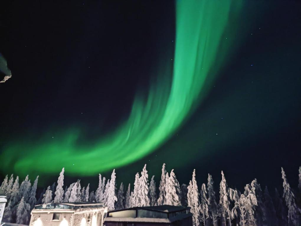 een afbeelding van het noorderlicht in de lucht met bomen bij Levi Sky Igloo in Kittilä