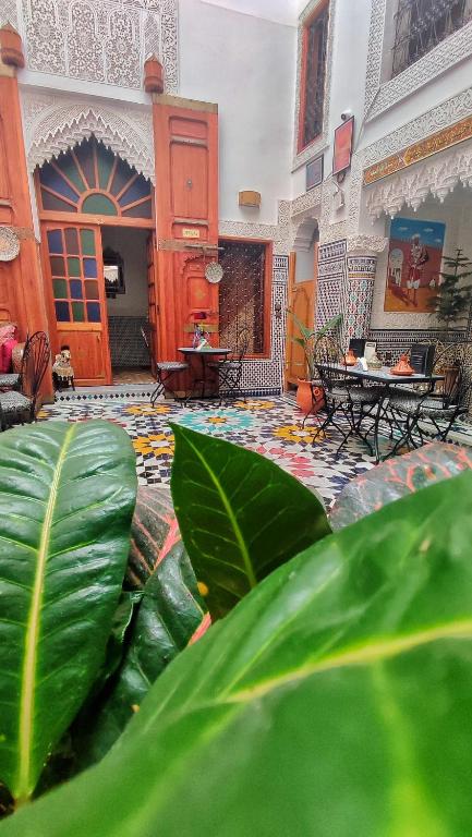 Fotografie z fotogalerie ubytování Riad Fes Touria Palace v destinaci Fès