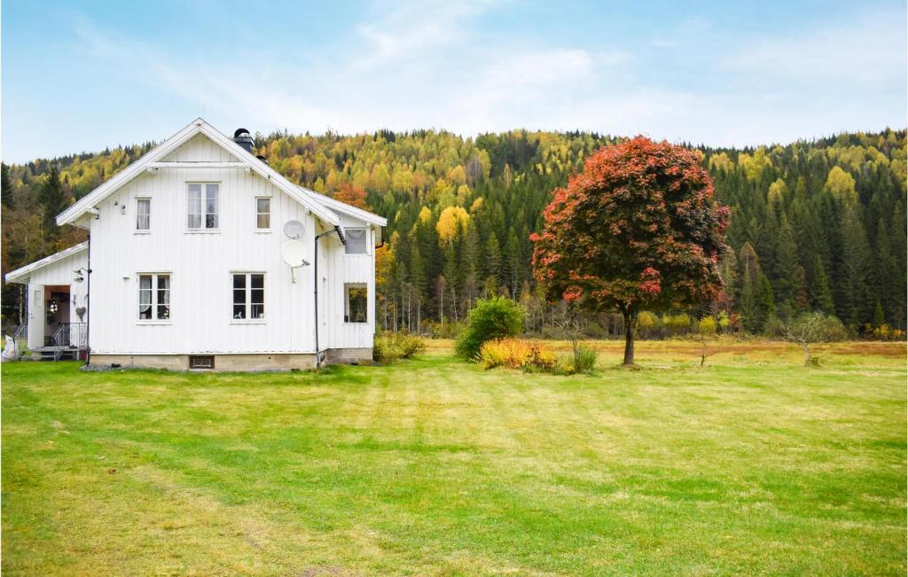 a white house in a field with a tree at Nice Home In Passebekk With 3 Bedrooms And Wifi in Svarstad