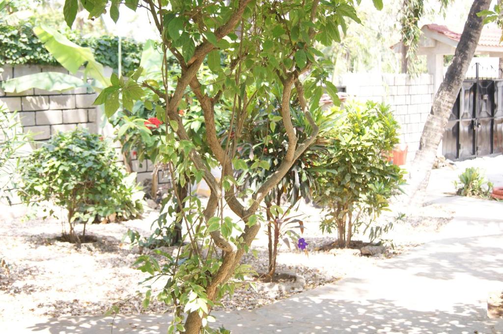 Luciano & Grace Apartments - Appartement Avec Vue Sur Le Jardin