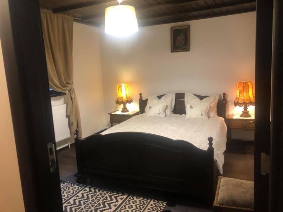 a bedroom with a bed and two lamps on two tables at Pensiunea Carmen 