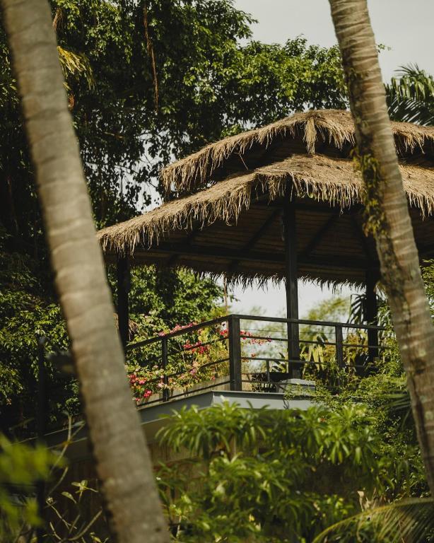 Koh Mak White Sand Beach - 9