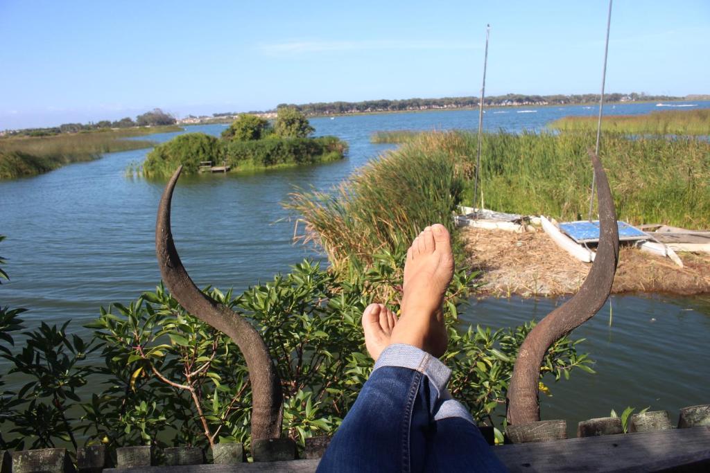una persona sentada en un columpio con sus cuernos en un río en Nature's Rest, en Ciudad del Cabo