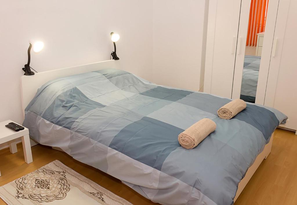 Simple and Spacious 1-Bebroom Flat with terrace