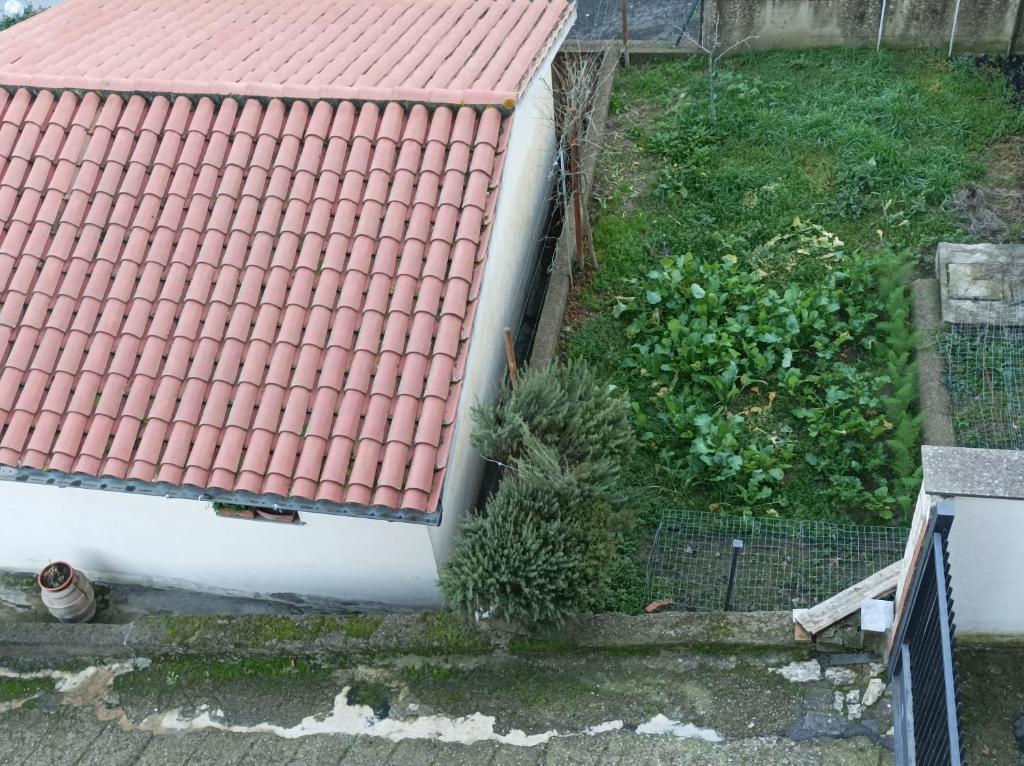 A garden outside Affittacamere Piagge