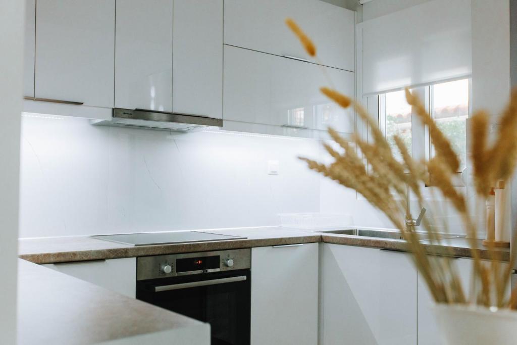 Kuchyň nebo kuchyňský kout v ubytování Hermes Appartment