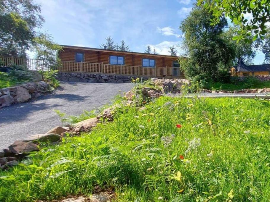 Zahrada ubytování Treetops Luxury Log Cabin - Hot tub, BBQ & Sauna