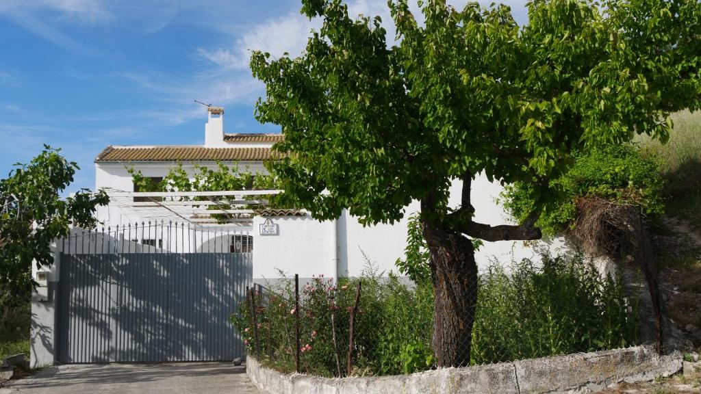 une maison blanche avec un arbre devant une clôture dans l'établissement Cortijo Los Liñanes, à Grenade