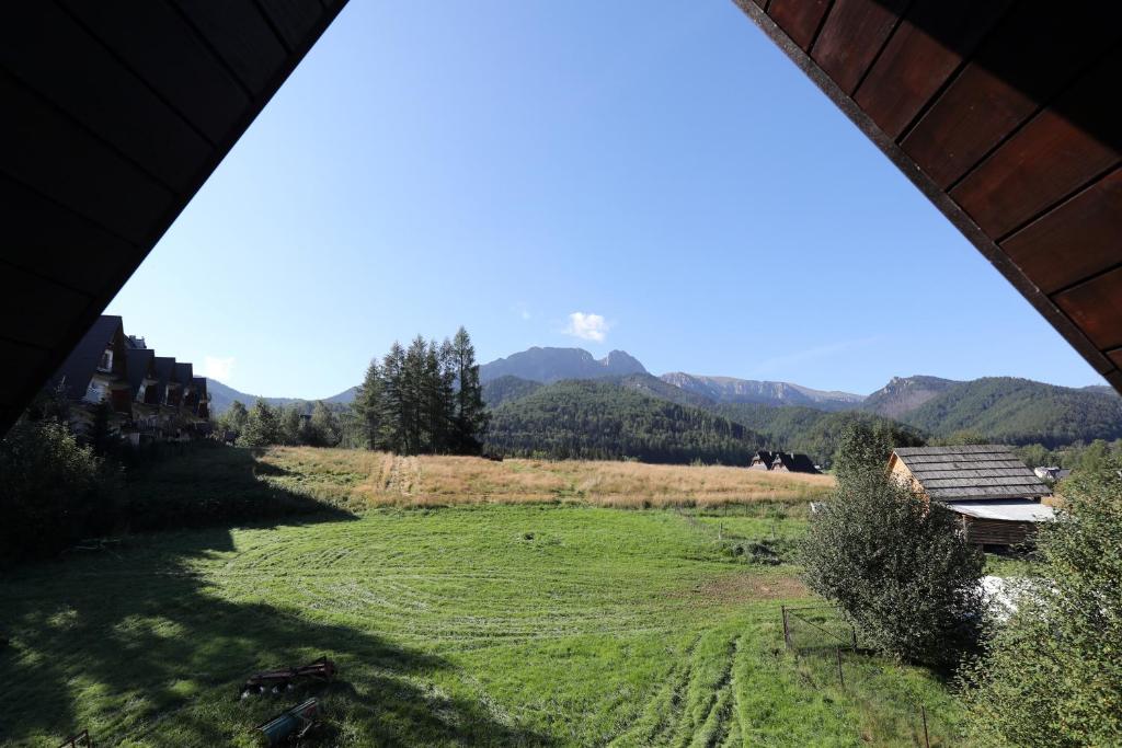 a view of a field with mountains in the background at Willa na Wierszykach 1 in Zakopane